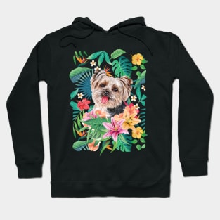 Yorkie Yorkshire Terrier 1 Hoodie